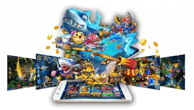 Evobet Live Betting